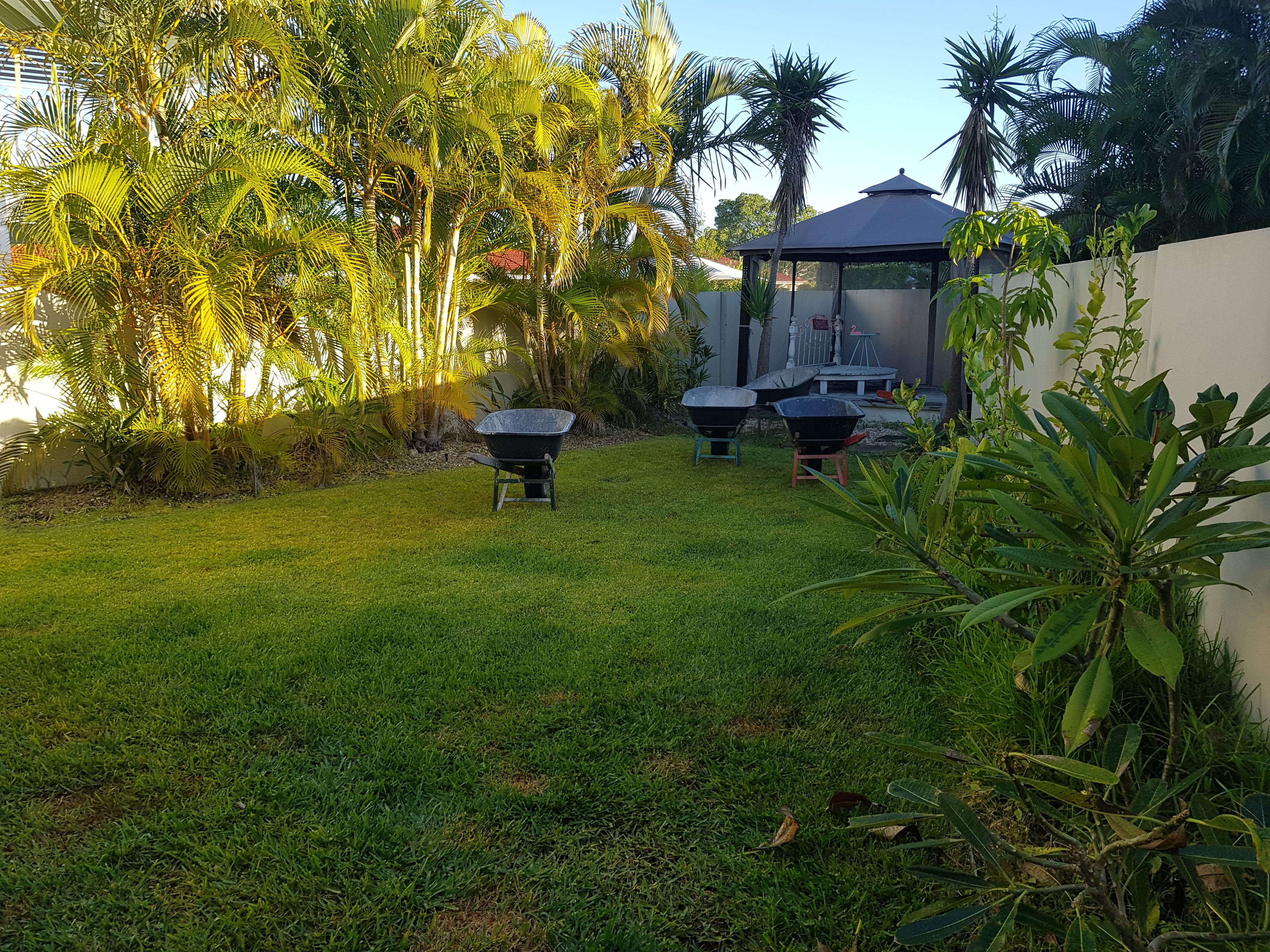 Recent Projects | Kenchi Lifestyle Gardens | Gold Coast