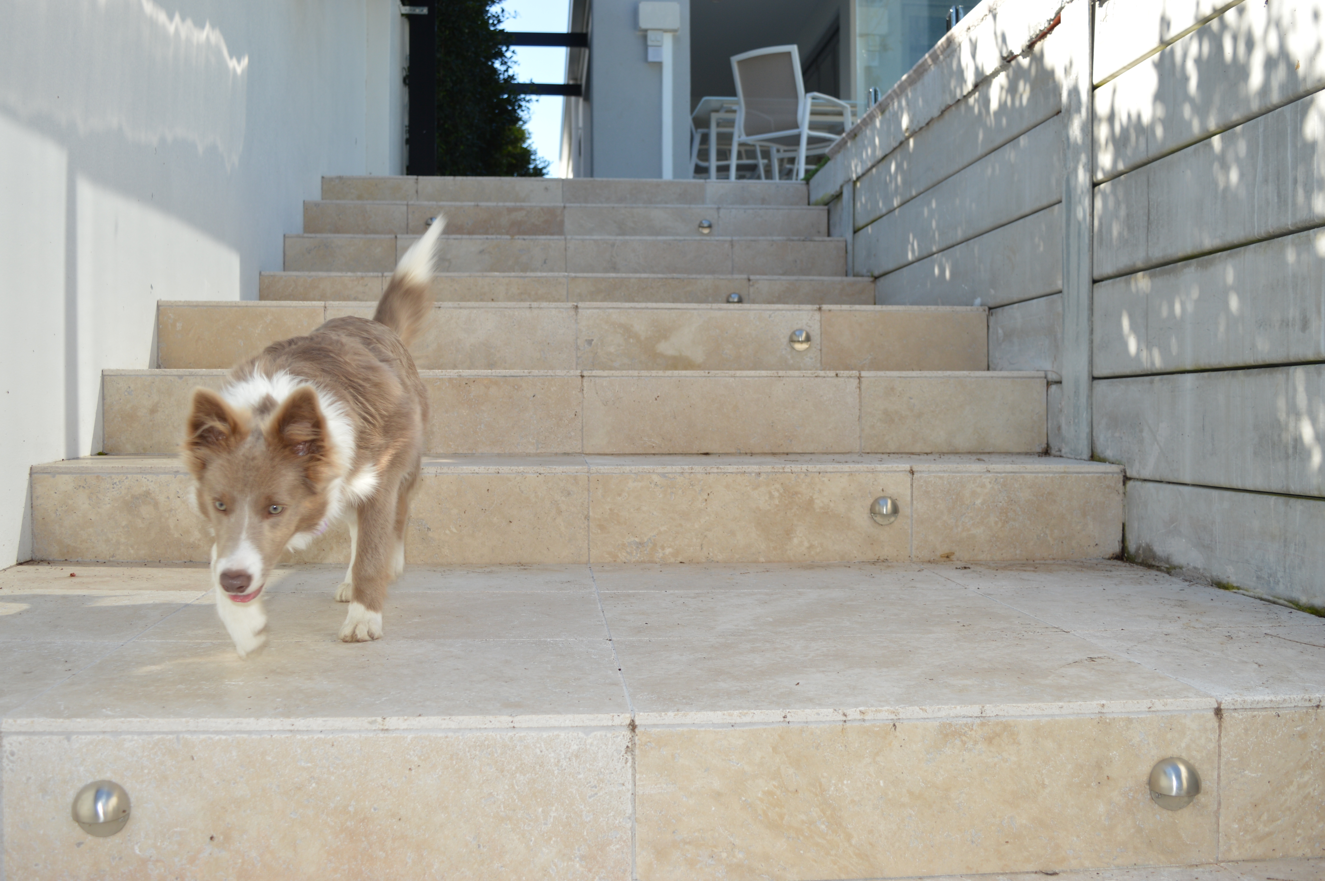 Recent Projects | Kenchi Lifestyle Gardens | Gold Coast