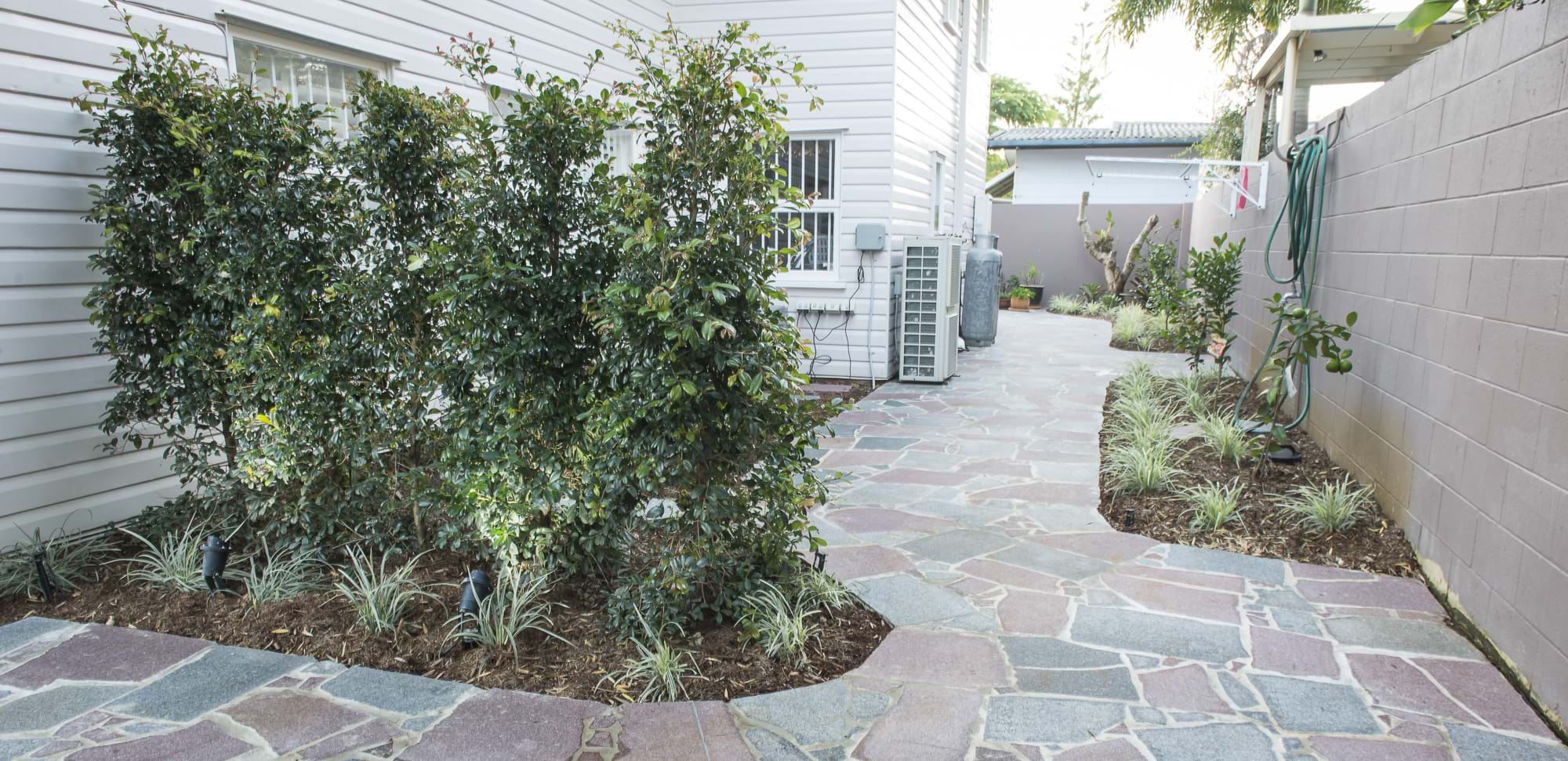 Australian Porphyry stone