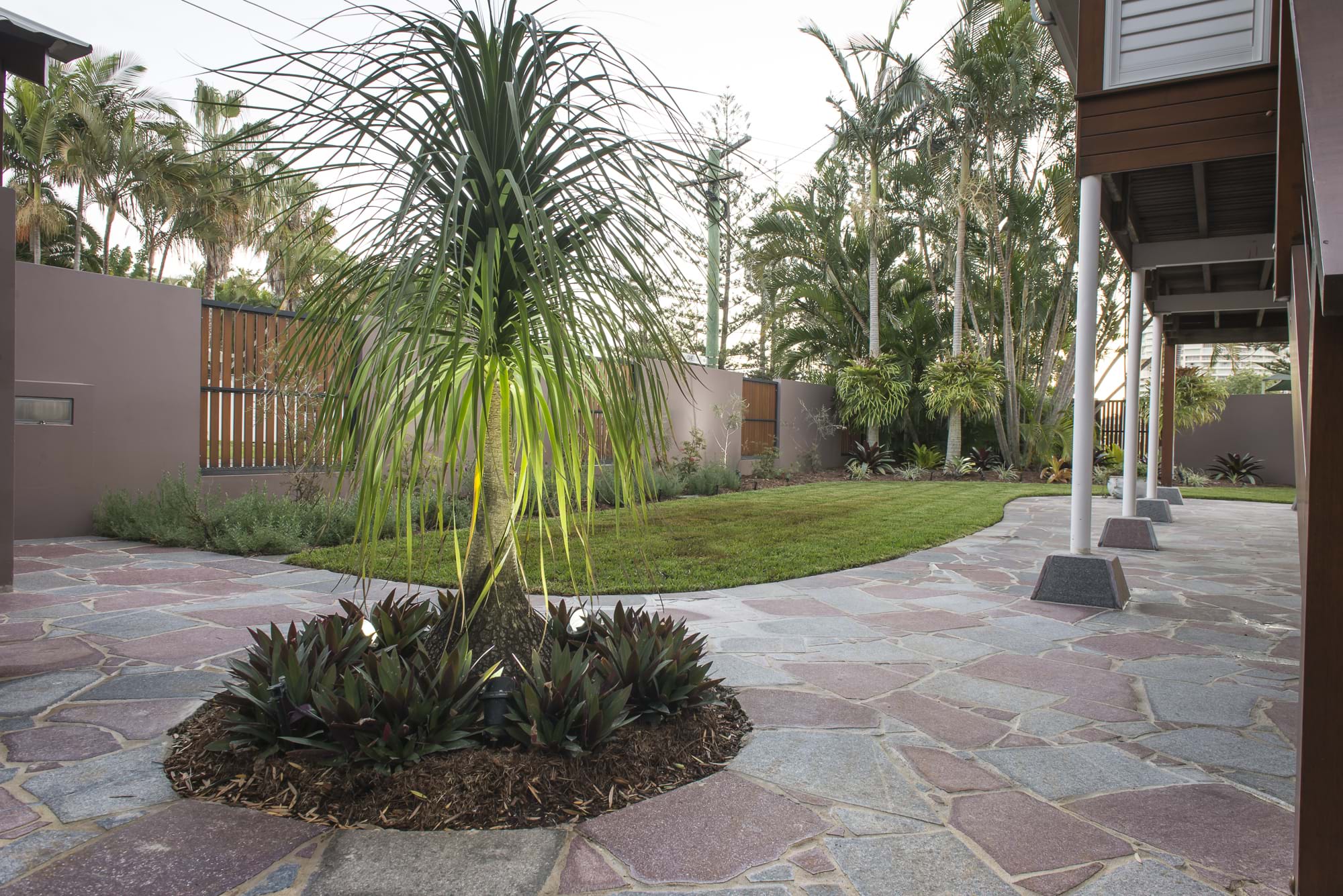 Australian Porphyry stone