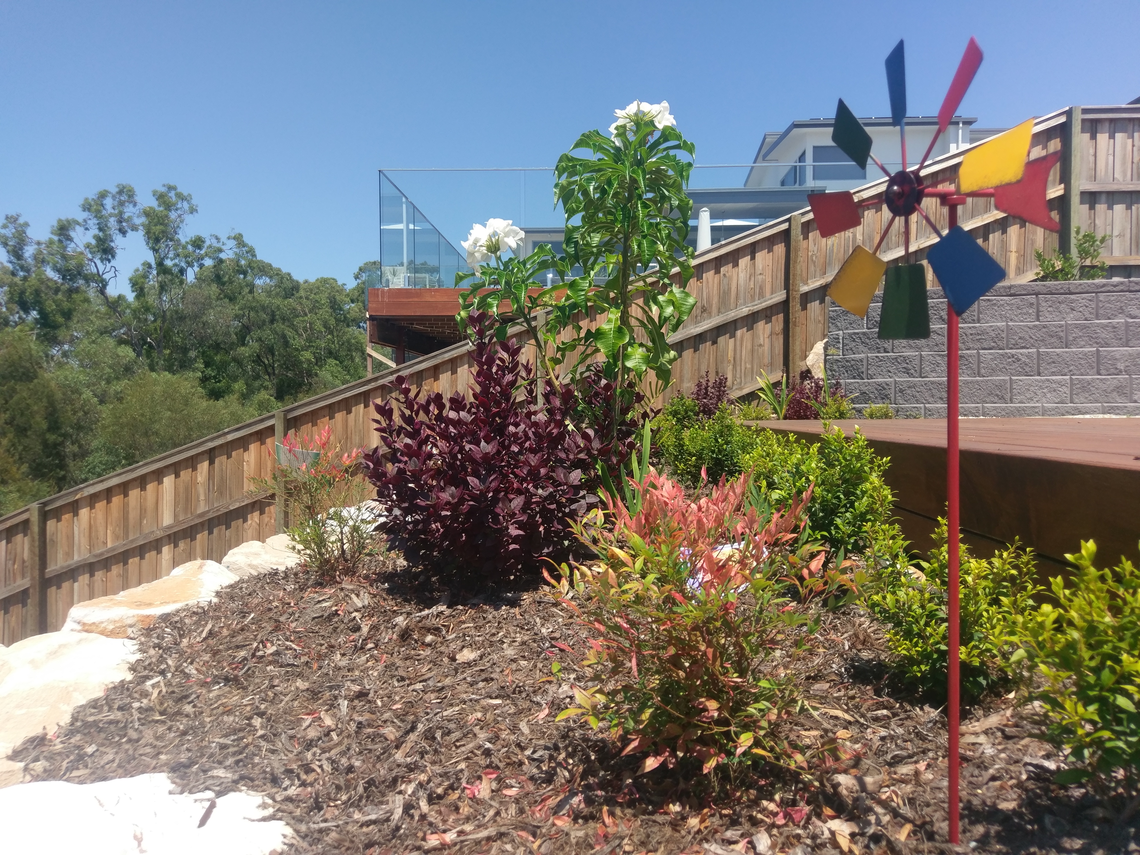 Recent Projects | Kenchi Lifestyle Gardens | Gold Coast